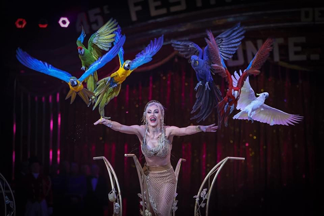 Circus Krone - Winterspielzeit 2024/2025 - Freestyle