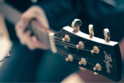 Jazzfest, Gitarre, Gitarre