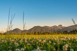 Genussradeln, NL_06_20_Bad_Feilnbach