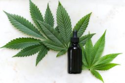 CBD, S_3_05_22_NN CBD_660x440