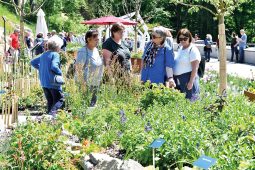 Landesgartenschau, 0823Freyung_1