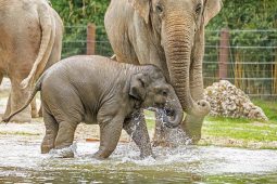 Sommerferien, 0724Kinderseite_1