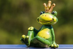 Der Froschkönig, 0724TheaterMarktSchwaben