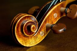 Perpetuum Regensburg, Gasteig HP8, musica da camera, Violine_PilotBrent_Pixabay