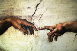 Michelangelo 550!, 0225ZIK