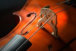 Klassik München 2026 2027, TT_03_26_MueMusik_neue Saison_piro4d-cello-2820989_1920_LP_1040x693